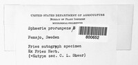 Image Associated With the Occurence